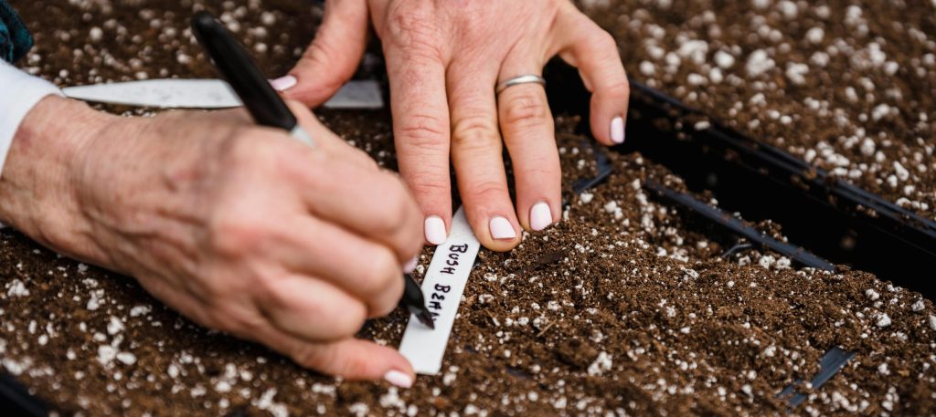 Winter Seed Sowing: Grow Even in the Cold. Upyard Guide