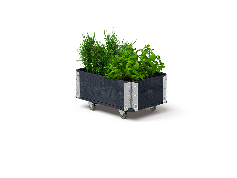 HerbsBox
