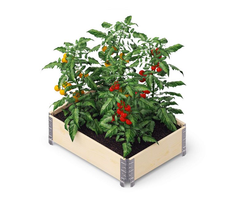 GardenBox Eco