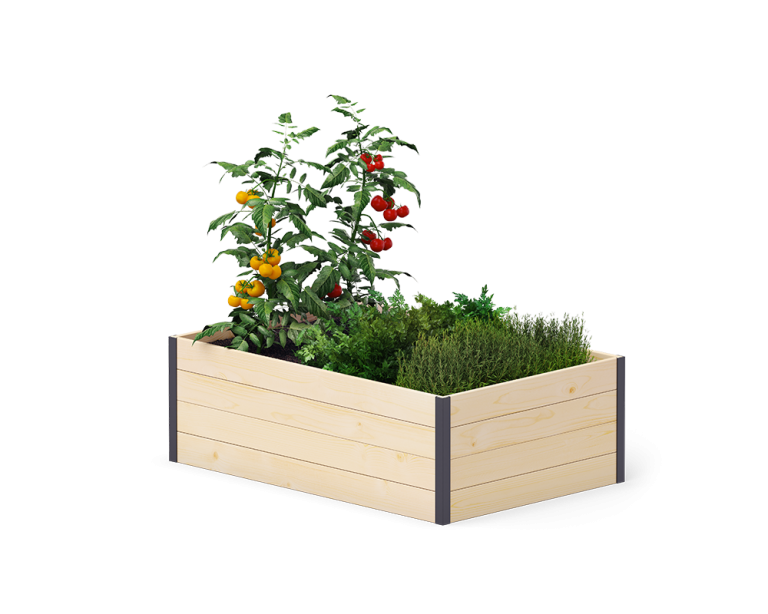 GardenBox Modern