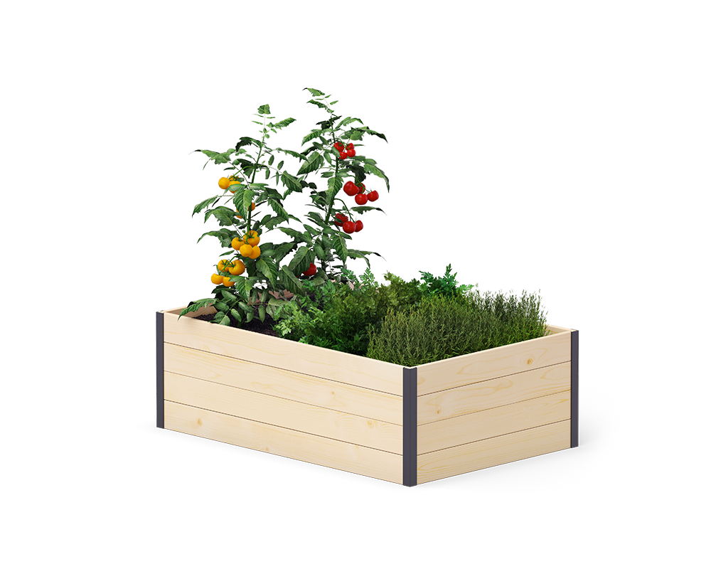 GardenBox Modern