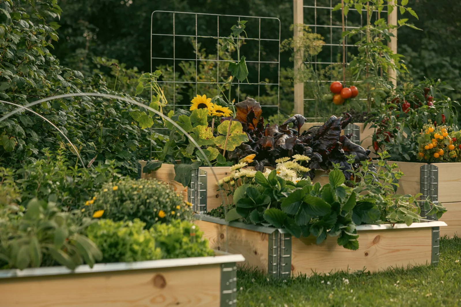Transform your favourite spot into a vegetable or flower bed