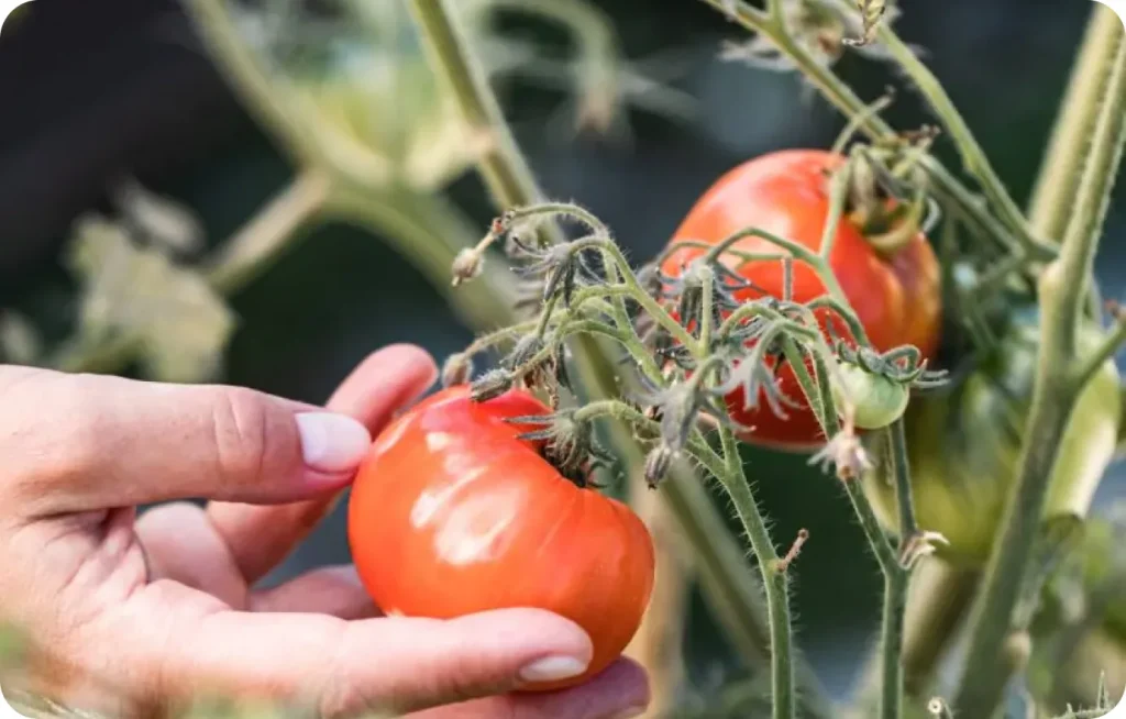 Sustainability is considered throughout the entire lifecycle of our products.
