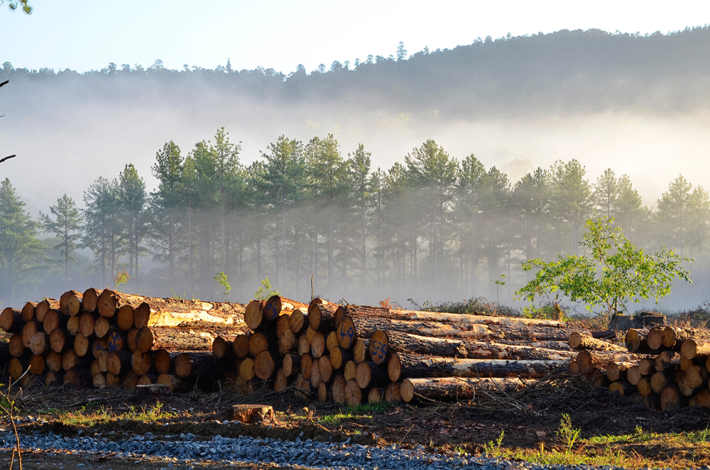Natural & Durable Materials